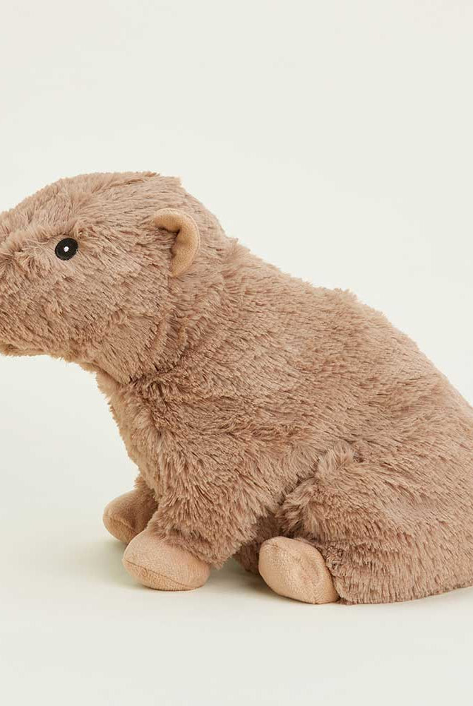 Warmies: Capybara-12- Baby/Kids/Men-Warmies-Usher & Co - Women's Boutique Located in Atoka, OK and Durant, OK