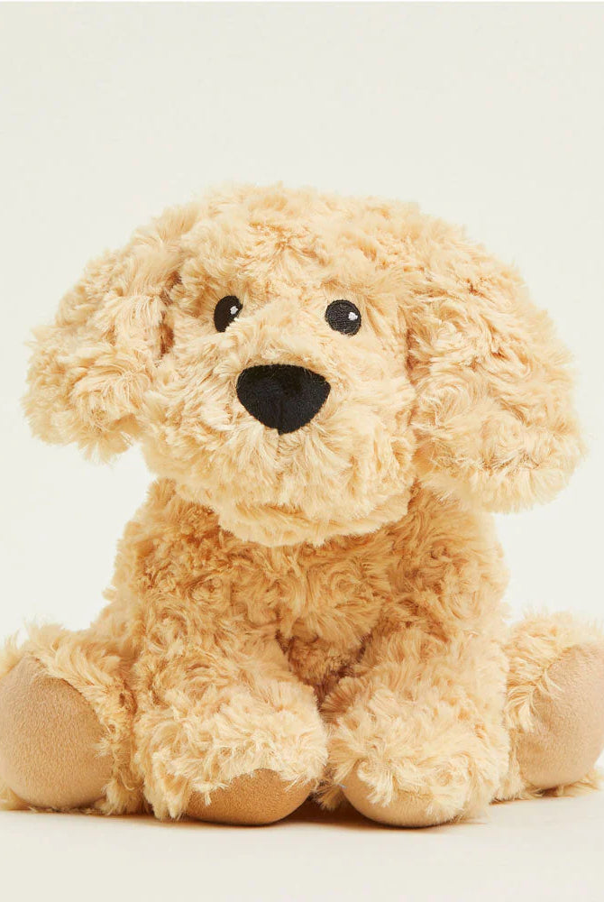 Warmies: Golden Dog-12- Baby/Kids/Men-Warmies-Usher & Co - Women's Boutique Located in Atoka, OK and Durant, OK