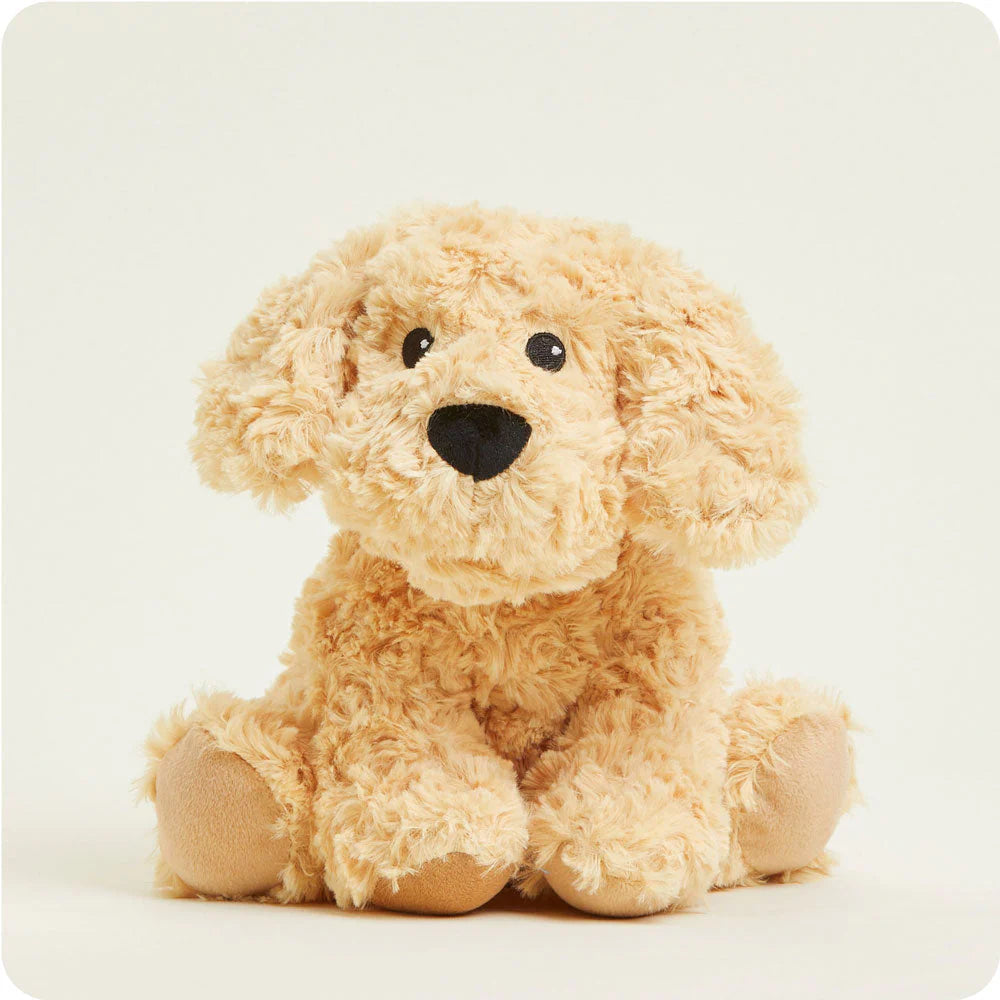 Warmies: Golden Dog-12- Baby/Kids/Men-Warmies-Usher & Co - Women's Boutique Located in Atoka, OK and Durant, OK